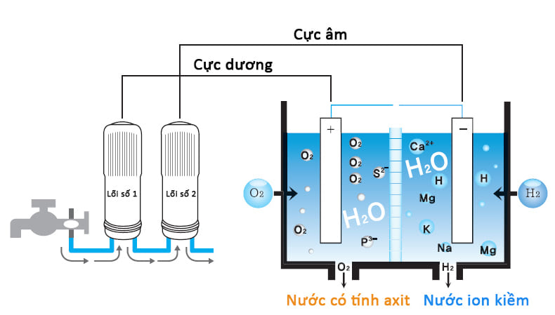 Bộ phận quan trọng nhất quyết định chất lượng nước của máy ion kiềm là các tấm điện cực. Máy lọc nước ion kiềm loại tốt thường sử dụng vật liệu nền cho các tấm điện cực là Titan, bên ngoài các tấm Titan này sẽ được phủ một lớp Platin hay còn gọi là bạch kim hay vàng trắng. Do 2 loại vật liệt này an toàn với cơ thể con người và đều là các kim loại quý hiếm. Có 3 kiểu thiết kế của tấm điện cực là : + Kiểu tấm phẳng và kiểu rãnh : ưu điểm là dễ chế tạo, sản xuất hàng loạt được. Nhưng nhược điểm là nặng, đắt tiền do tốn nhiều nguyên liệu, diện tích tiếp xúc lớn nên khoáng chất dễ bám lên bề mặt điện cực khó làm sạch. + Kiểu mắt lưới : ưu điểm hơn 2 kiểu trên là khối lượng nhẹ hơn, tốn ít vật liệu, giá thành hạ. Do diện tích tiếp xúc nhỏ nên khoáng chất rất khó bám lên bề mặt điện cực hai bên, ngoài ra khả năng khoáng chất bám được lên tiết diện trong của mắt lưới cũng rất thấp. Nhưng nhược điểm của kiểm thiết kế này là rất khó chế tạo. Nên mua loại máy lọc nước ion kiềm loại có bao nhiều tấm điện cực ? Hiện nay có rất nhiều loại máy lọc nước ion kiềm được quản cáo trên thị trường với số lượng tấm điện cực khác nhau như : 2,3,5,7,9,11 tấm điện cực. Vậy người tiêu dùng nên chọn mua loại máy nào phù hợp ? Về nguyên tắc thì máy càng nhiều tấm điện cực thì khả năng tạp ra nước có nồng độ kiềm càng cao, chỉ sô oxy hóa ORP càng mạnh như vậy giá thành càng đắt, đồng thời cũng tiêu tốn nhiều điện năng hơn. Tuy nhiên nguyên lý này cũng hoàn toàn không đúng do một số nguyên nhân sau: - Nước đầu vào có tính kiềm hay tính axit. Nếu nước nguồn vào có tính axit thì phải dùng máy có nhiều tấm điện cực hơn thì mới có khả năng tạo ra nước kiềm. - Kích thước tấm điện cực trong máy là lớn hay nhỏ? Tấm điện cực càng lớn thì khả năng cho ra nước có độ kiềm tính càng mạnh. - Lưu lượng nước đầu vào máy mạnh hay yếu? lưu lượng nước càng chậm thì khả năng tạo ra nước có độ kiềm càng cao. - Chỉ số TDS ( tổng hàm lượng chất rắn hòa tan trong nước ) của nguồn nước đầu vào càng cao thì nước qua máy lọc ion kiềm càng có tính kiềm mạnh hơn. - Nhiều nhà sản xuất thường quảng cáo về chất lượng nước của loại máy có nhiều tấm điện cực như 9 hoặc 11 tấm như lời khuyên là quý khách nên đánh giá chất lượng máy thông qua chỉ số ORP máy tạo ra thực tế là bao nhiêu chứ không phải dựa trên số tấm điện cực mà nhà sản xuất quảng cáo. Ví dụ ; Nếu máy có 11 tấm điện cực mà chỉ cho ra chỉ số ORP là -600mV trong khi một máy có 7 tấm điện cực nhưng lại cho ra chỉ số ORP là -800mV thì loại có 7 tấm điện cực sẽ có chất lượng nước tốt hơn. Chưa kể máy có 11 tấm điện cực có chi phí đắt hơn và tiêu tốn điện năng nhiều hơn trong quá trình sử dụng.