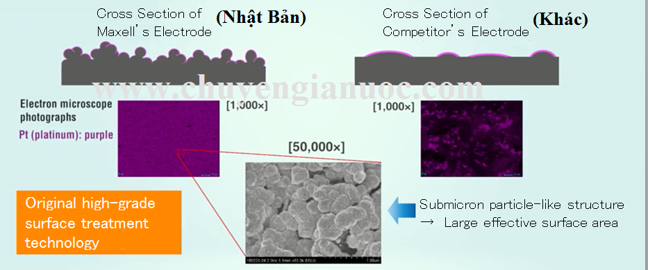 So sánh máy lọc nước ion kiềm Hàn Quốc và Nhật Bản