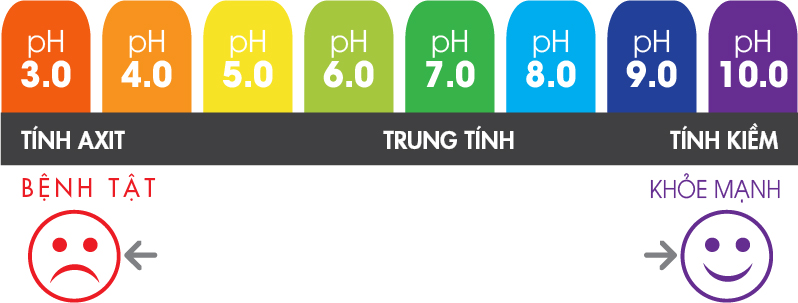 Máy điện giải ion kiềm Kangen LeveLuk Super 501